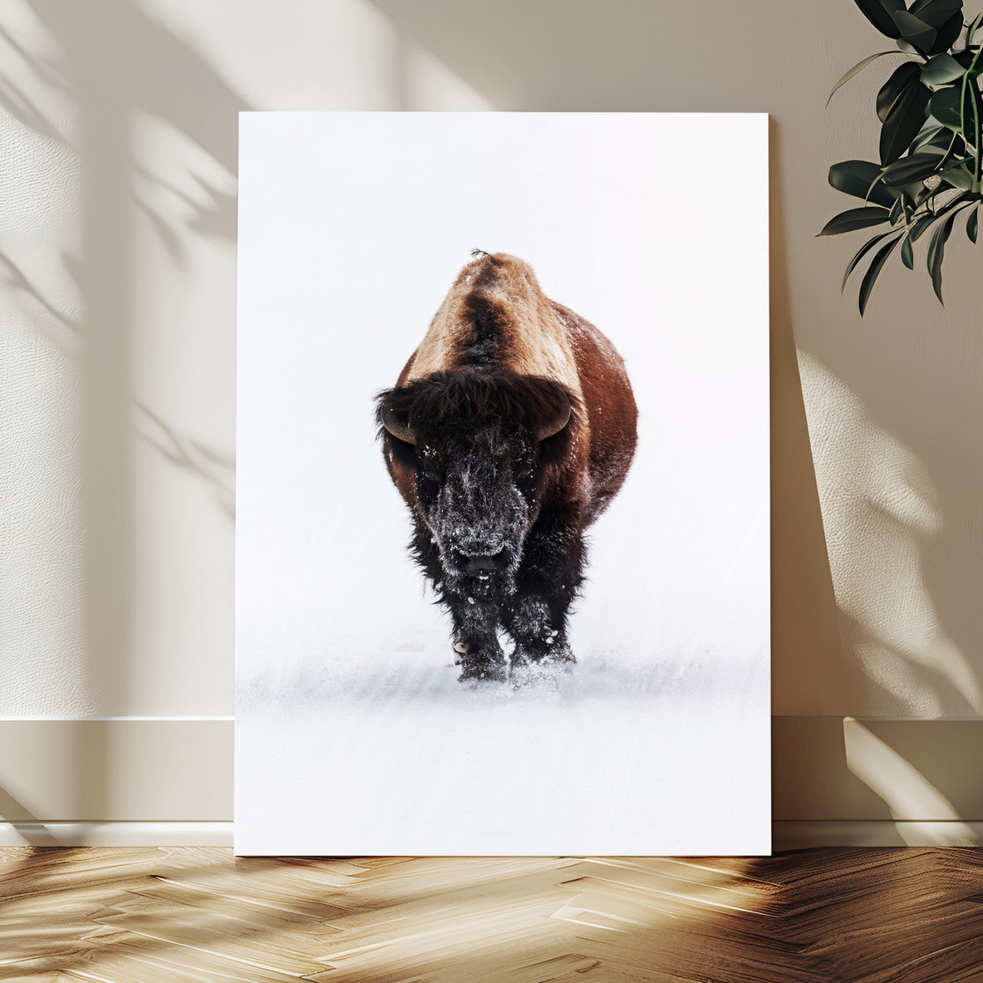 Front view of a strong bison walking in deep snow, isolated white background, perfect for rustic or lodge-style home decor.