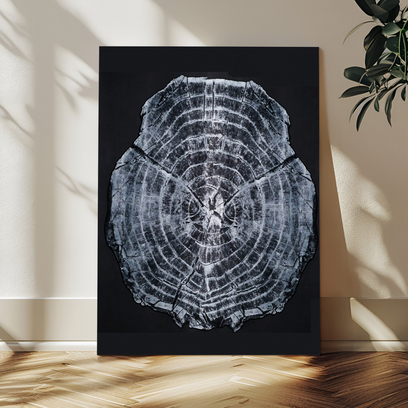 Monochrome tree ring cross-section on black background, showing detailed growth lines, perfect for modern rustic or minimalist interiors. (