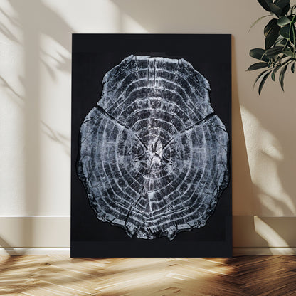 Monochrome tree ring cross-section on black background, showing detailed growth lines, perfect for modern rustic or minimalist interiors. (