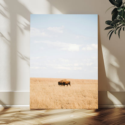 Minimalist Nature Wall Art Canvas Print, Framed Bison In Grassland Art Picture Print, Open Field Perfect Modern Ranch Decor Decor Artwork