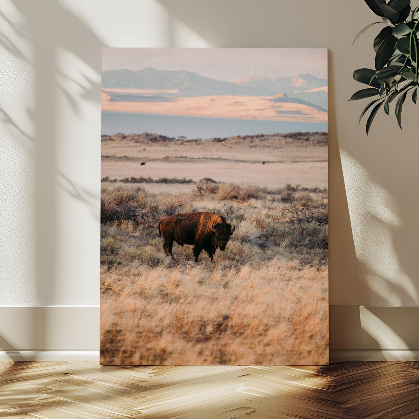 A solitary bison standing in golden prairie grass with distant mountains and soft sunset light, ideal for rustic, lodge, and western decor.