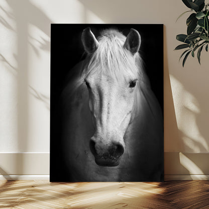 Large Wall Art White Horse on Black Background Canvas Print