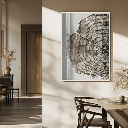 A close-up tree ring cross-section with neutral tones and organic texture, perfect for rustic, modern, or minimalist interior wall decor.