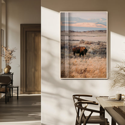 A solitary bison standing in golden prairie grass with distant mountains and soft sunset light, ideal for rustic, lodge, and western decor.