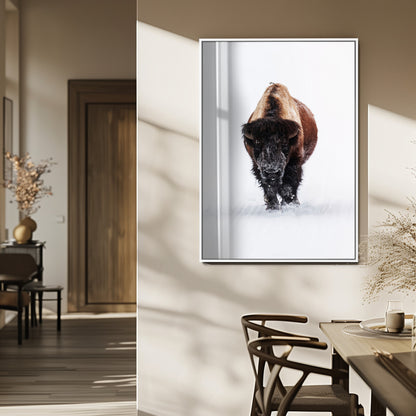 Front view of a strong bison walking in deep snow, isolated white background, perfect for rustic or lodge-style home decor.