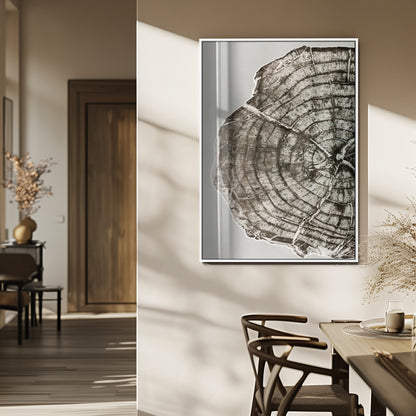 A close-up tree ring cross-section with neutral tones and organic texture, perfect for rustic, modern, or minimalist interior wall decor.