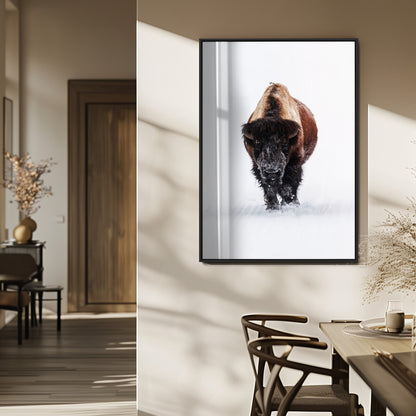 Front view of a strong bison walking in deep snow, isolated white background, perfect for rustic or lodge-style home decor.