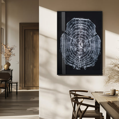 Monochrome tree ring cross-section on black background, showing detailed growth lines, perfect for modern rustic or minimalist interiors. (