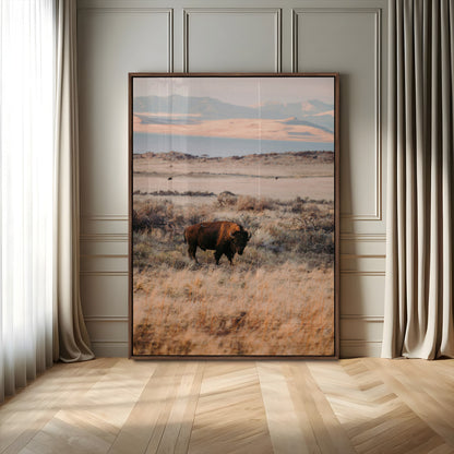 A solitary bison standing in golden prairie grass with distant mountains and soft sunset light, ideal for rustic, lodge, and western decor.