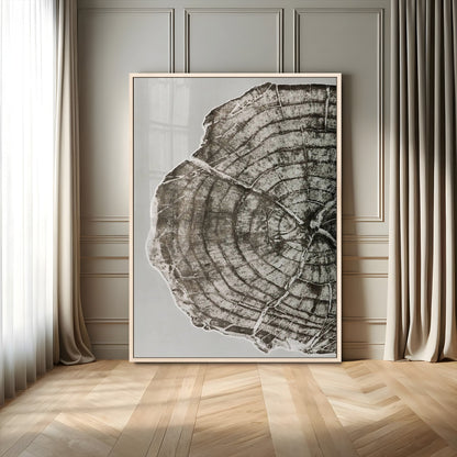 A close-up tree ring cross-section with neutral tones and organic texture, perfect for rustic, modern, or minimalist interior wall decor.