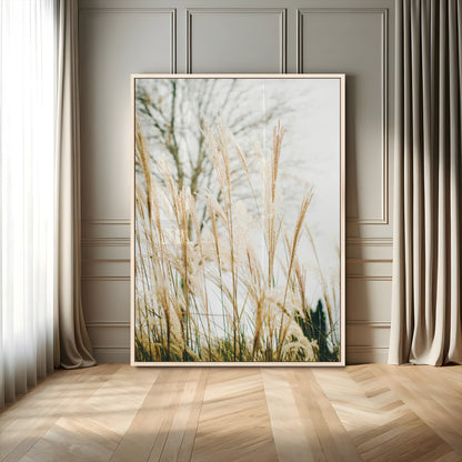 Soft beige pampas grass swaying in the breeze against a muted sky, creating a tranquil and minimalist botanical aesthetic.
