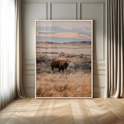 A solitary bison standing in golden prairie grass with distant mountains and soft sunset light, ideal for rustic, lodge, and western decor.