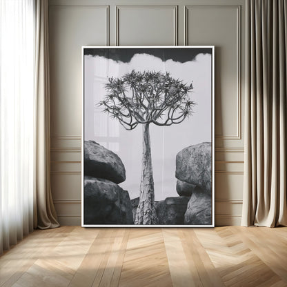 Tall desert tree in black and white, standing between large rocks, perfect for bold and minimalist nature-themed interior spaces.