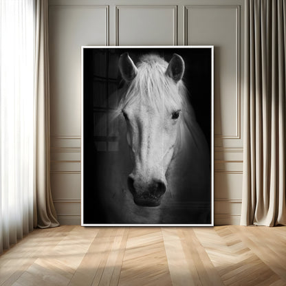 Large Wall Art White Horse on Black Background Canvas Print
