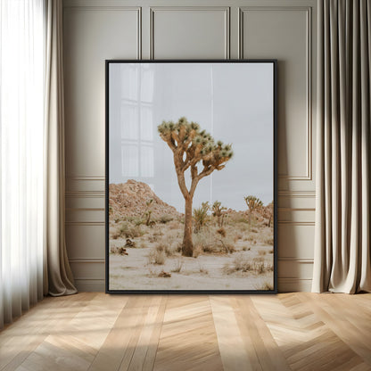 Canvas of a Joshua Tree in neutral desert tones under soft light, ideal for southwestern minimalist or rustic nature-inspired home decor.