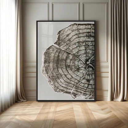 A close-up tree ring cross-section with neutral tones and organic texture, perfect for rustic, modern, or minimalist interior wall decor.