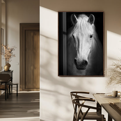 Large Wall Art White Horse on Black Background Canvas Print