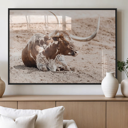 Texas Longhorn bull resting on dusty ground with warm tones, ideal for rustic western or farmhouse-themed wall decor.