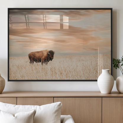 Bison Wall Art Print - Buffalo Canvas Print, featuring a lone bison in a golden prairie under a warm sunset sky, perfect for rustic and farmhouse decor.