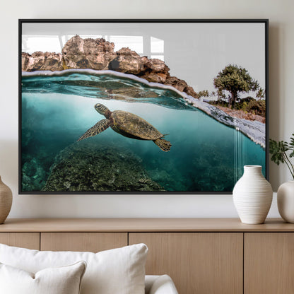 Dynamic split-view photo of a sea turtle swimming near rocky shores, perfect for vibrant coastal or tropical beach home decor.