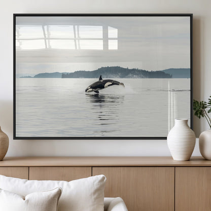 An orca jumping out of calm ocean waters with a misty island in the background, creating a serene and minimalist marine wildlife scene.