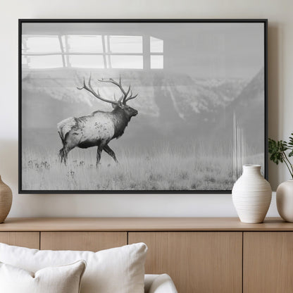Black and white photograph of a majestic elk standing in a grassy field with snow-capped mountains in the background, creating a bold and rustic wilderness scene.