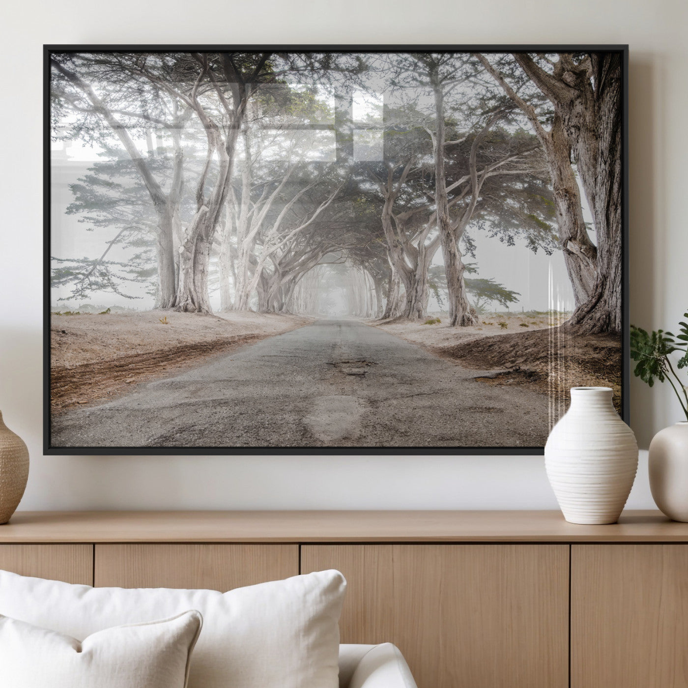 Canvas of a misty tree tunnel with arching cypress trees and an earthy road, ideal for rustic or coastal nature decor.