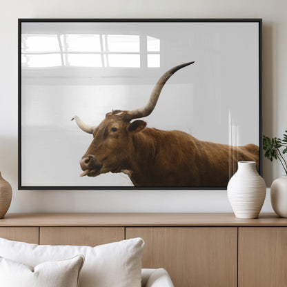 Minimal photo of a longhorn cow with white background, ideal for rustic, western or farmhouse-style interior decor.