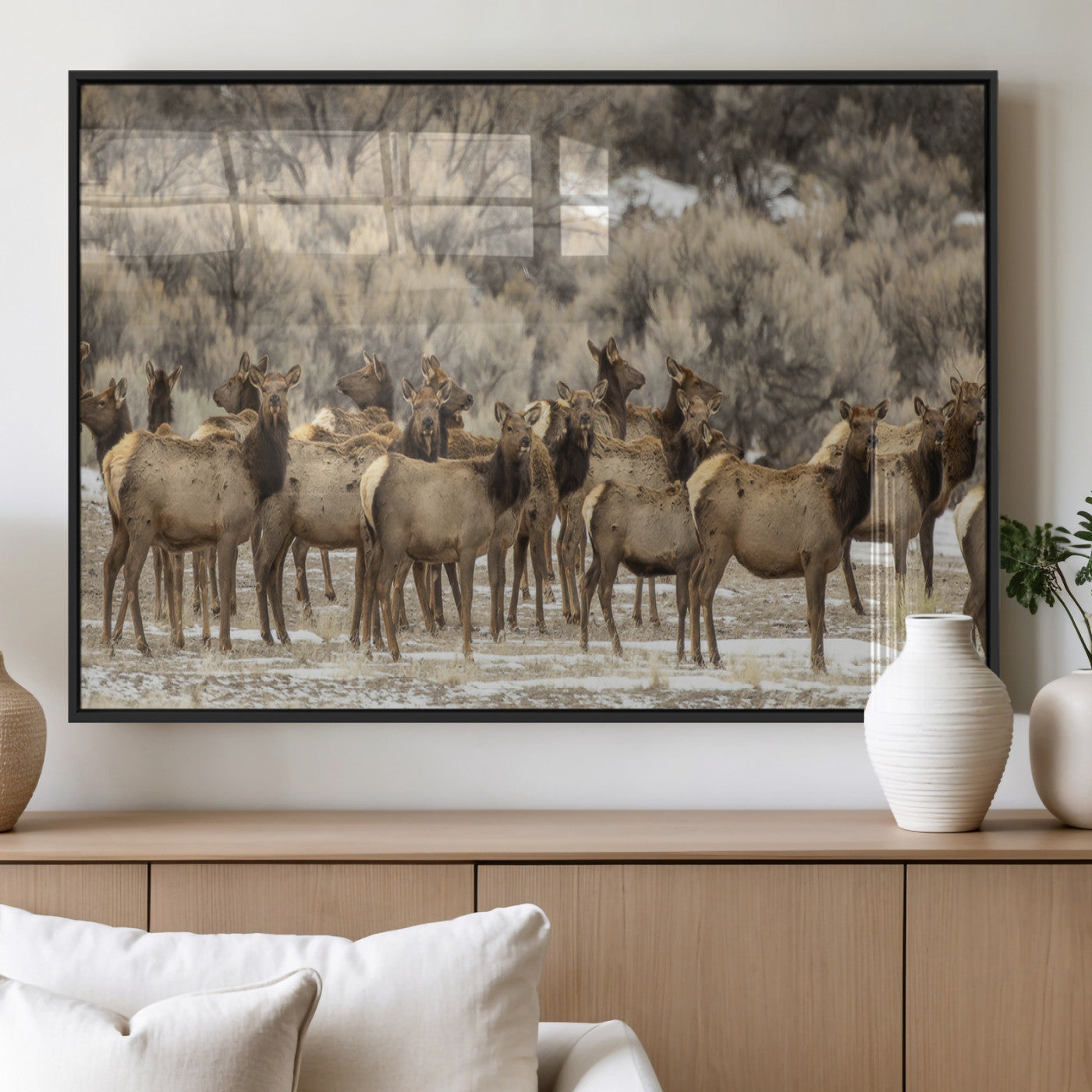 A large herd of elk standing in an open field with soft earthy tones, ideal for rustic lodge or western-themed home wall decor.