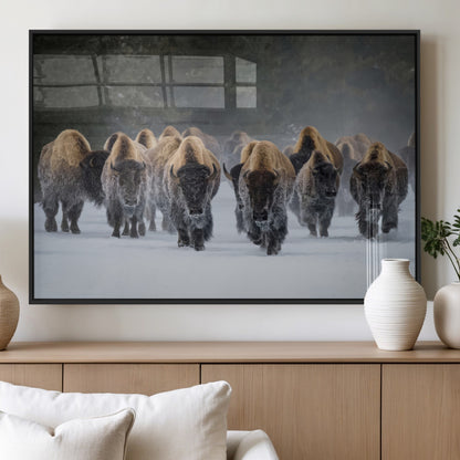 A herd of American bisons walking through deep snow in a forest, evoking a powerful rustic wilderness mood for western-style interiors.