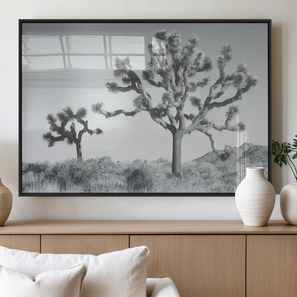 Black and white Joshua tree in a desert landscape with soft light and dry brush, perfect for rustic or minimalist home decor.