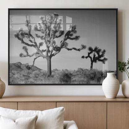 Black and white Joshua trees in a rugged desert landscape, creating a calm and minimalist feel for natural or rustic-themed interiors.