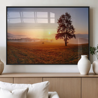 A tranquil landscape at sunrise with a mist-covered field and a lone tree, creating a peaceful and natural atmosphere.