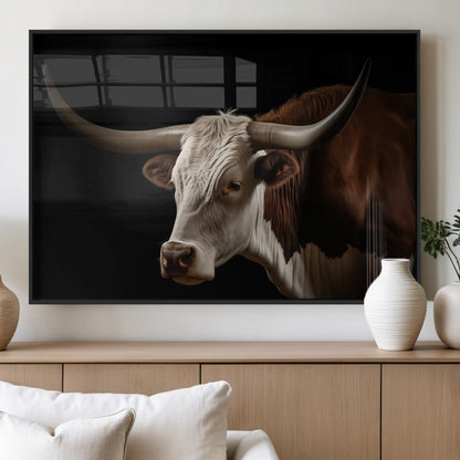 "Close-up of a brown and white longhorn cow with prominent curved horns against a black background."