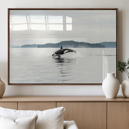 An orca jumping out of calm ocean waters with a misty island in the background, creating a serene and minimalist marine wildlife scene.