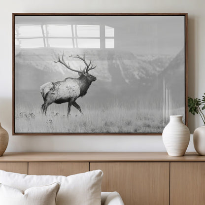 Black and white photograph of a majestic elk standing in a grassy field with snow-capped mountains in the background, creating a bold and rustic wilderness scene.