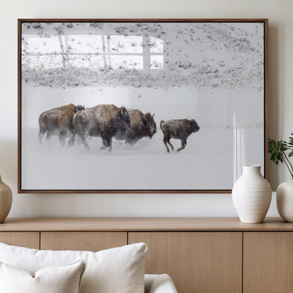 Bison herd running through a snowy open field with mountain backdrop, perfect for rustic or western-themed wall decoration.