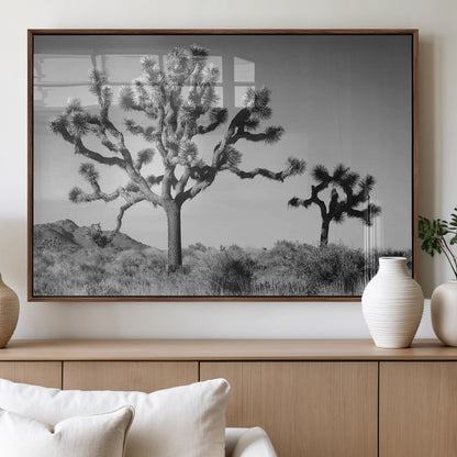 Black and white Joshua trees in a rugged desert landscape, creating a calm and minimalist feel for natural or rustic-themed interiors.