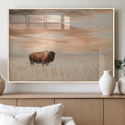 Bison Wall Art Print - Buffalo Canvas Print, featuring a lone bison in a golden prairie under a warm sunset sky, perfect for rustic and farmhouse decor.