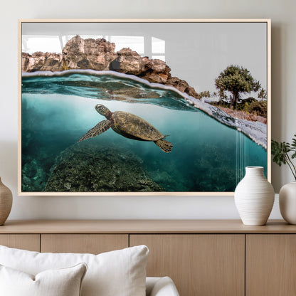 Dynamic split-view photo of a sea turtle swimming near rocky shores, perfect for vibrant coastal or tropical beach home decor.