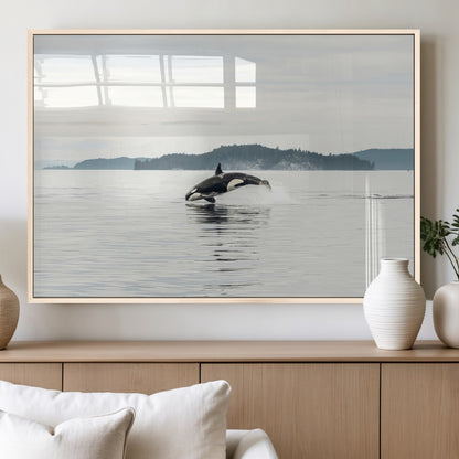 An orca jumping out of calm ocean waters with a misty island in the background, creating a serene and minimalist marine wildlife scene.