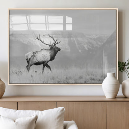 Black and white photograph of a majestic elk standing in a grassy field with snow-capped mountains in the background, creating a bold and rustic wilderness scene.