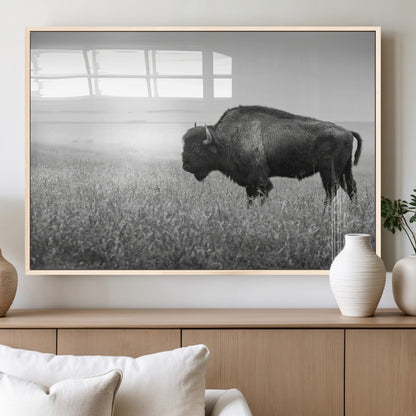 A black and white photograph of a majestic bison standing in a vast grassy prairie, evoking a sense of wilderness and strength.
