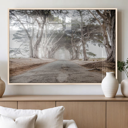 Canvas of a misty tree tunnel with arching cypress trees and an earthy road, ideal for rustic or coastal nature decor.