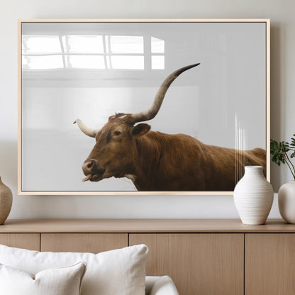 Minimal photo of a longhorn cow with white background, ideal for rustic, western or farmhouse-style interior decor.