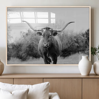 Black and white photo of a longhorn cow in a field, perfect for rustic farmhouse or western-themed interior wall decoration.