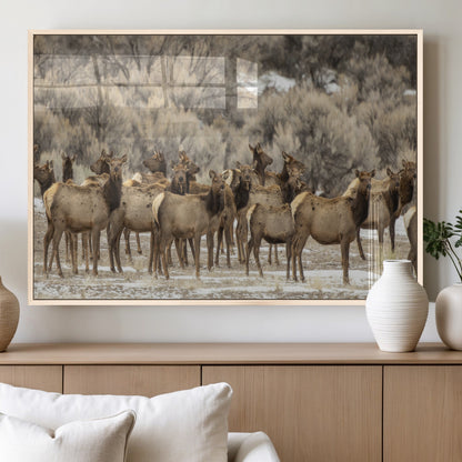 A large herd of elk standing in an open field with soft earthy tones, ideal for rustic lodge or western-themed home wall decor.