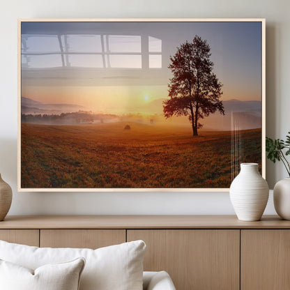 A tranquil landscape at sunrise with a mist-covered field and a lone tree, creating a peaceful and natural atmosphere.