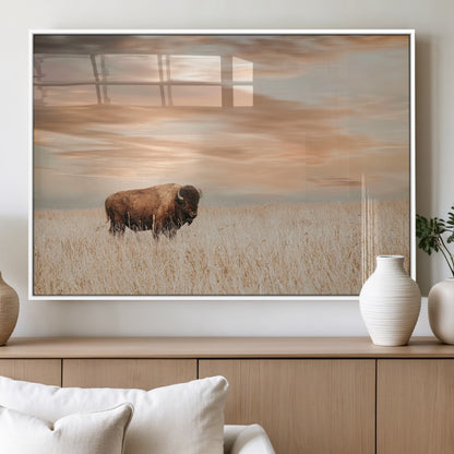 Bison Wall Art Print - Buffalo Canvas Print, featuring a lone bison in a golden prairie under a warm sunset sky, perfect for rustic and farmhouse decor.