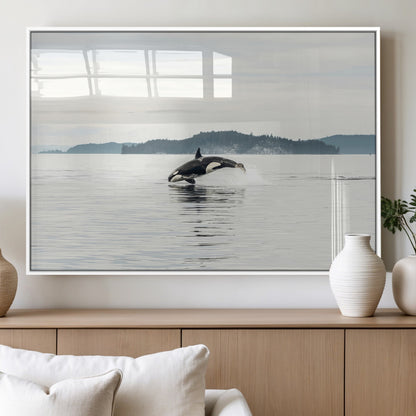 An orca jumping out of calm ocean waters with a misty island in the background, creating a serene and minimalist marine wildlife scene.